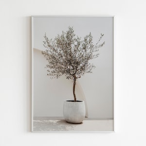 Olive Tree Printable Wall Art,Olive Tree Print,Greece Print, Mediterranean Wall Art, Europe Travel Printable Art, Italy Poster, Olive Branch