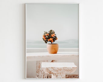 Orange Tree Printable Wall Art,Botanical Wall Art,Clementine Print,Citrus Print,Fruit Art Print,Terracotta Poster,Orange Tree in Pot Print