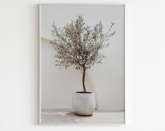 May include: A framed print of a small olive tree in a white pot, set against a white wall with a curved white shape in the background.