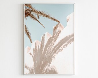 May include: A framed photograph of a white building with a palm tree shadow cast on the wall. The sky is a light blue color.