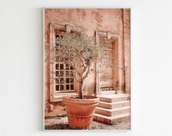 May include: A terracotta pot with a small olive tree in front of a pink building with two doorways. The building has a rustic, weathered look.