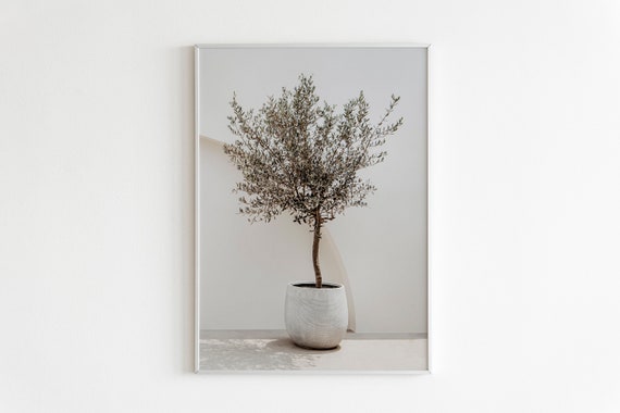 Olive Tree Printable Wall Art,Olive Tree Print,Greece Print, Mediterranean Wall Art, Europe Travel Printable Art, Italy Poster, Olive Branch