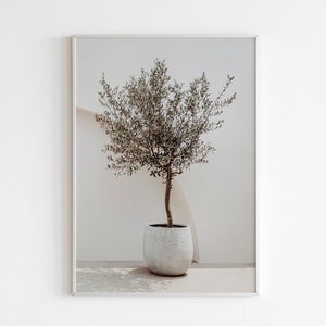 May include: A framed print of a small olive tree in a white pot, set against a white wall. The tree has green leaves and is in a simple, modern pot.
