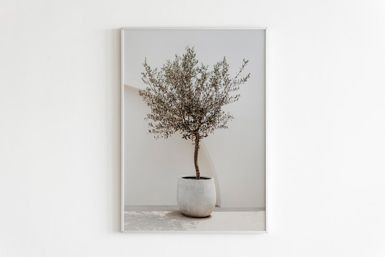 May include: A framed print of a small olive tree in a white pot, set against a white wall. The tree has green leaves and is in a simple, modern pot.