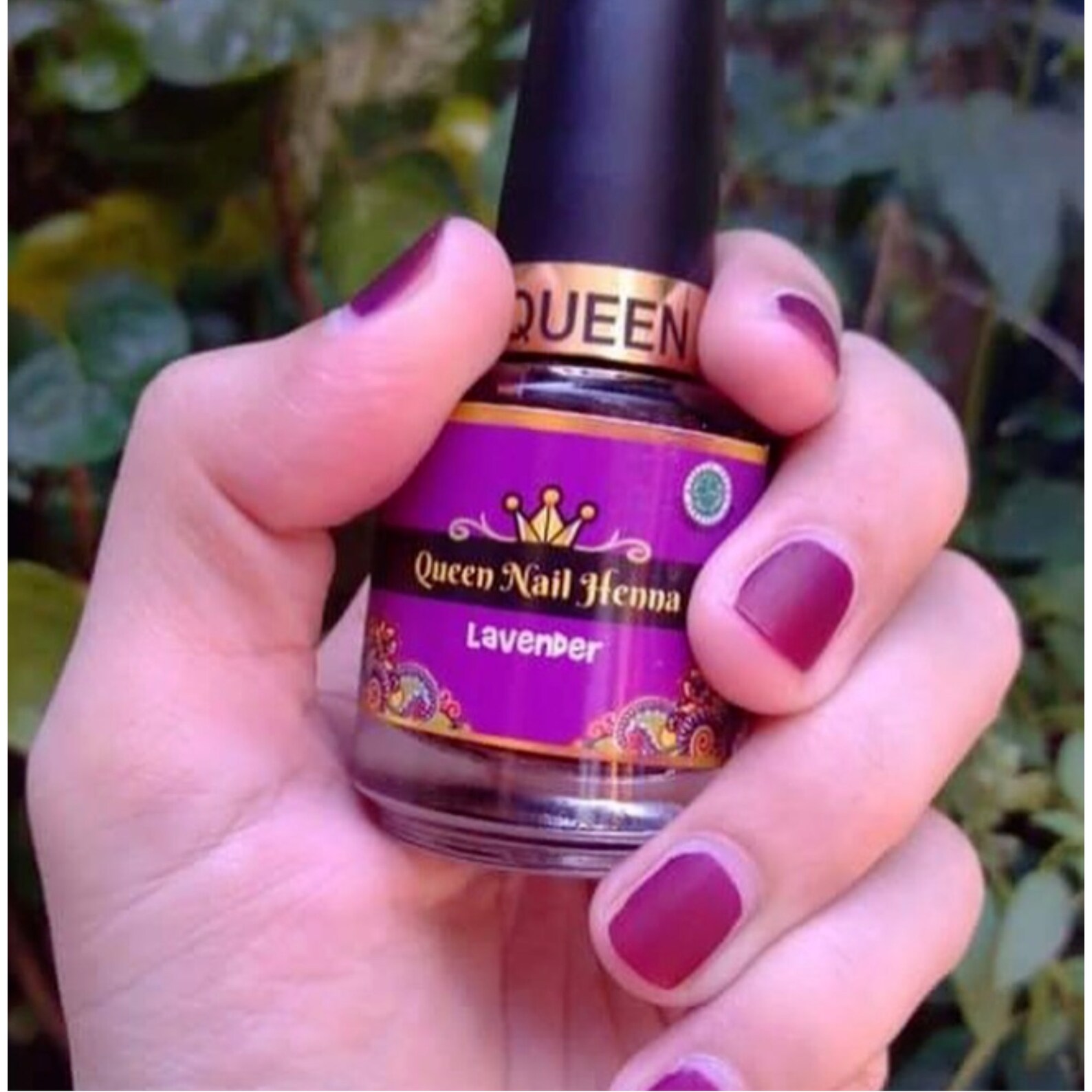 Henna NAIL Colour It's Henna NOT Nail Polish Water Etsy