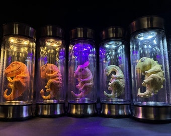 May include: Five cylindrical glass containers with metallic bases and lids, each illuminated from above by internal LED lights. Inside each container is a small, textured dinosaur figurine in a curled, fetal-like position, colored orange, yellow, pink, green, and pale yellow.