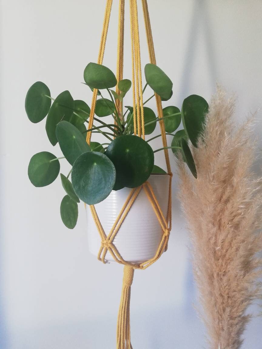 Suspension de Plante en Macramé