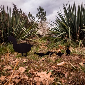 May include: A group of five black metal duck silhouettes are arranged in a line on a bed of brown leaves and green grass. The ducks are facing the right side of the image. The largest duck is in the front of the line, followed by four smaller ducks.