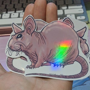 Naked or hairless rat holographic sticker, cute, pet rat, fancy rats, hairless pets, cute rats, sweet, silly