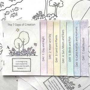 Op de afbeelding: Een printbare kleurplaat met een kleurrijke illustratie van de 7 dagen van de schepping. De illustratie bevat bomen, bloemen, een zon, een libel en een vlinder. De tekst op de pagina luidt "De 7 dagen van de schepping" en somt elke scheppingsdag op met een bijbehorende activiteit. De tekst bevat ook de Bijbeltekst Genesis 1:1.