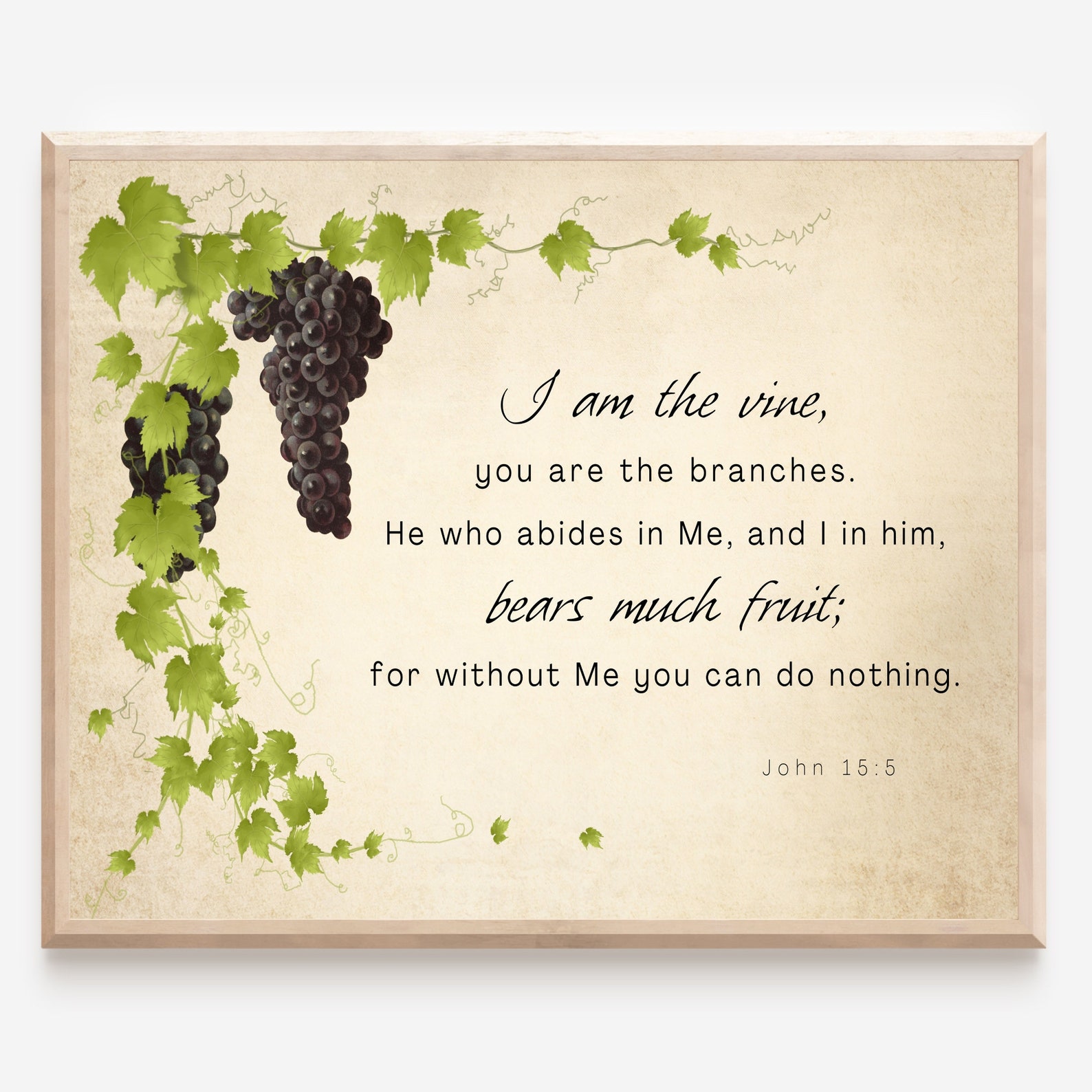 John 15:5 I Am the Vine, You Are the Branches. Printable, Bible Verse ...