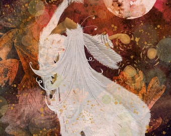 Metta-morphosis A6 Grußkarte / Postkarte / Botanische Vollmondkunst