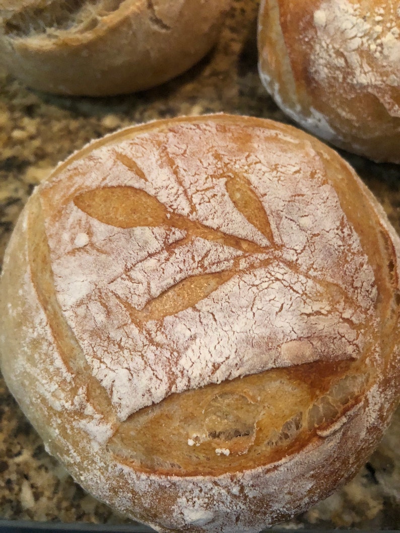 Delicious Sourdough Bread Bowls 6 Count Etsy