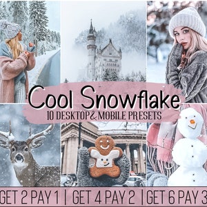 10 Cool Winter Lightroom Presets Mobile Desktop Professional preset | Blogger Instagram Filter Inluencer Feed Theme Aesthetic photo DNG Xmas
