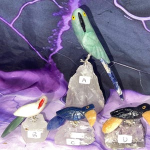 Hand Carved Brazilian Birds