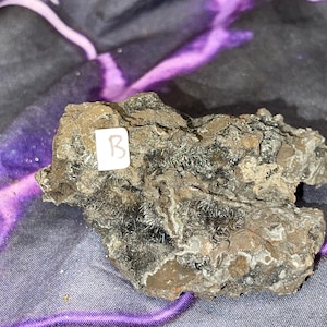 May include: A rough, dark-colored rock with a white label marked with the letter "B". The rock has a textured surface with small, spiky crystal formations. The background is a purple and gray fabric.