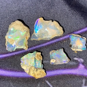 May include: Five raw opal stones with iridescent color flashes of blue, green, and yellow. The opals have a rough, natural texture and are set against a dark purple background.