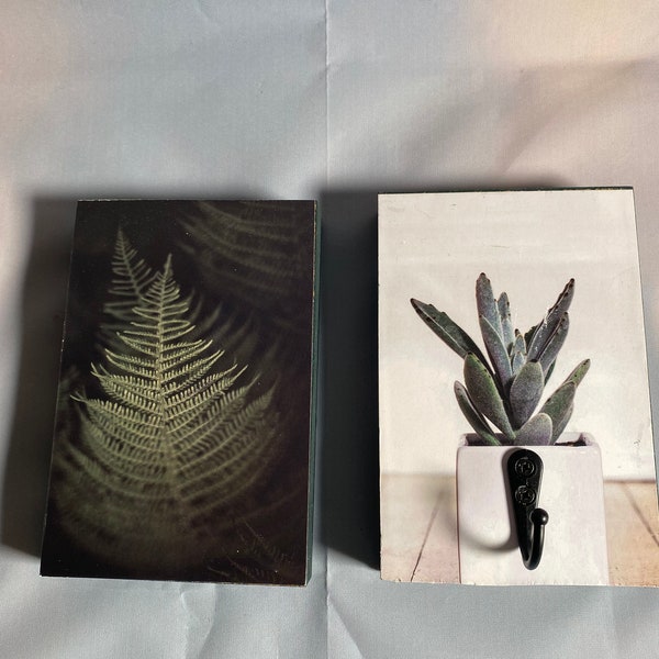 2 Holzbilder mit einem Haken Grün Boho Pflanzenbild Farn Kaktus A6