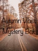 Jewelry Mystery Box | Fall Theme | Self Care Gift Box. 