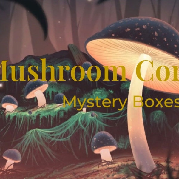 Lot mystère Mushroomcore. | Boîte à bijoux mystère. | Coffret cadeau soins personnels.