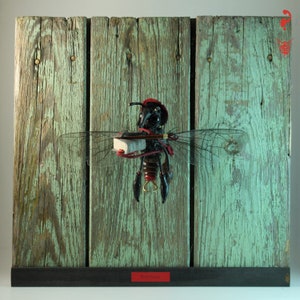 May include: A black and red insect with wings, holding a small white block, mounted on a weathered wooden background.