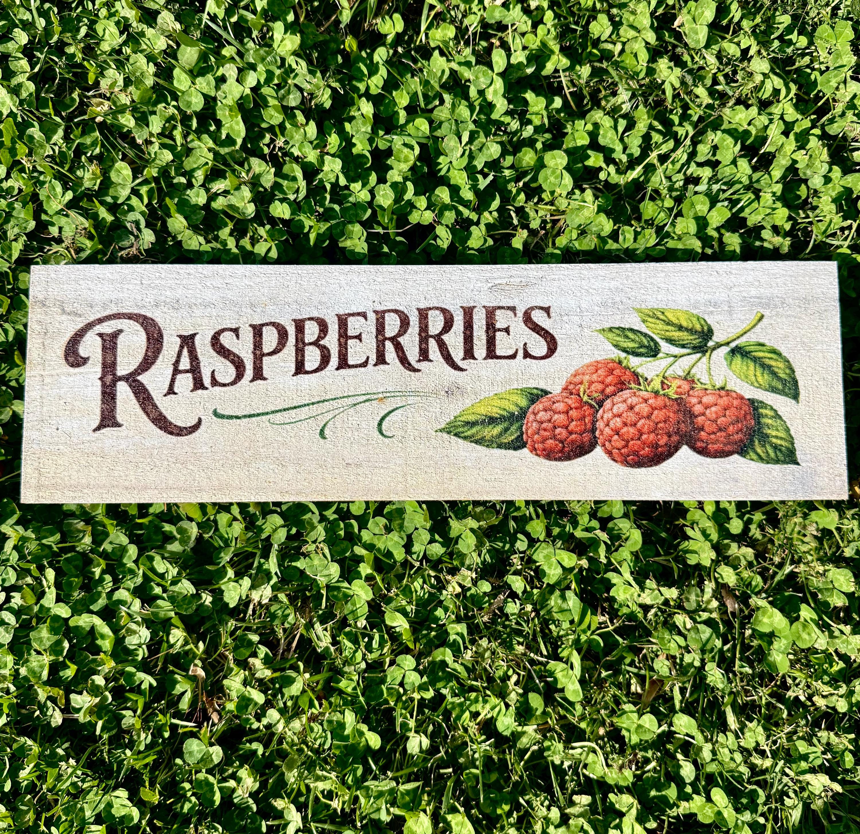 Farmhouse Berry Garden Signs | Raspberry, Strawberry, Blueberry ...