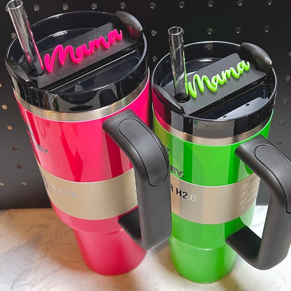 Neon Tumbler Name Plate for  Stanley Quencher | Personalized Nameplate Water Bottle | Electric Pink, Green, Black | 30oz 40oz