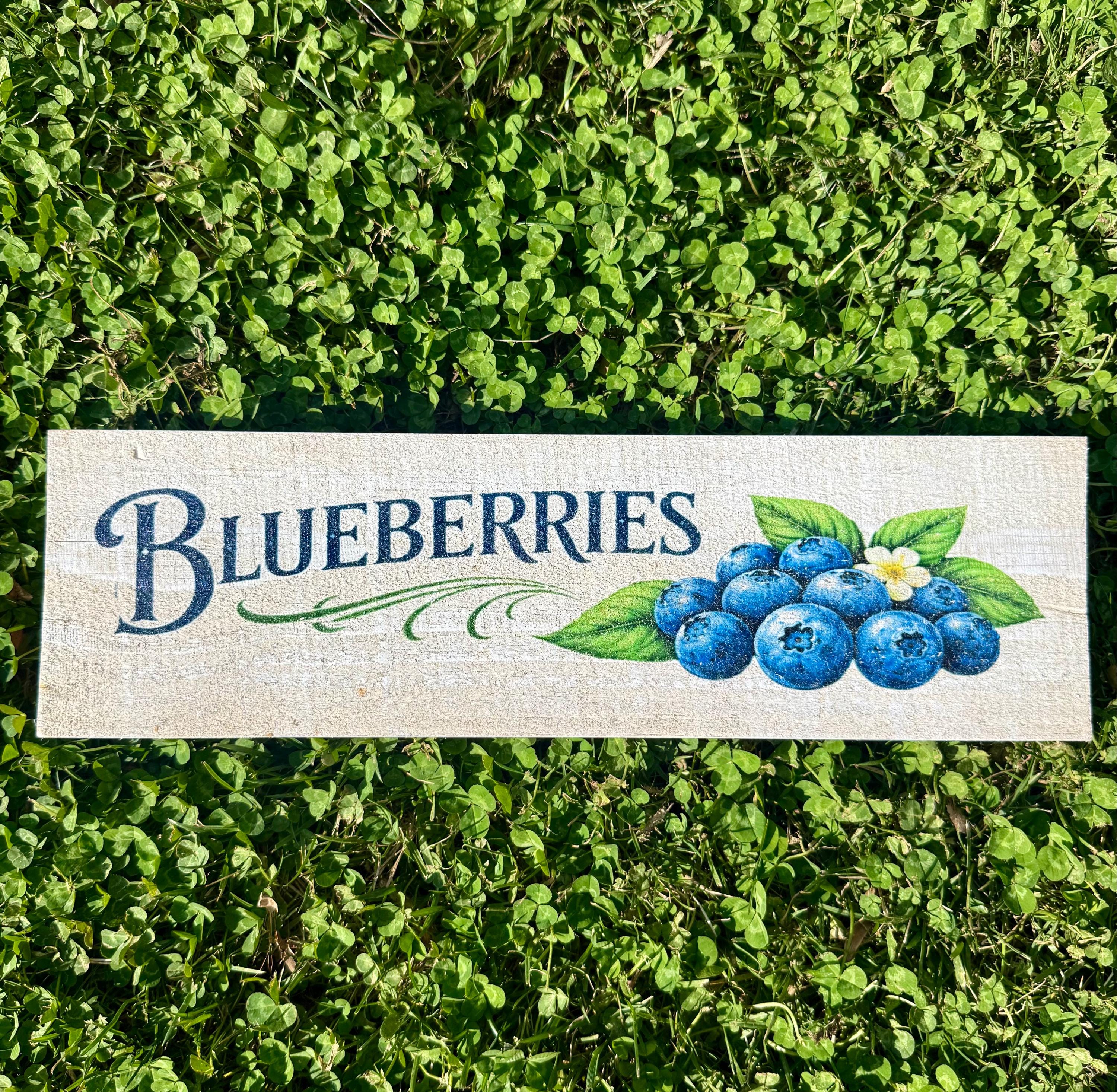 Rust Blueberry Sign Farmhouse Berry Garden Signs | Raspberry, Strawberry, Blueberry ...