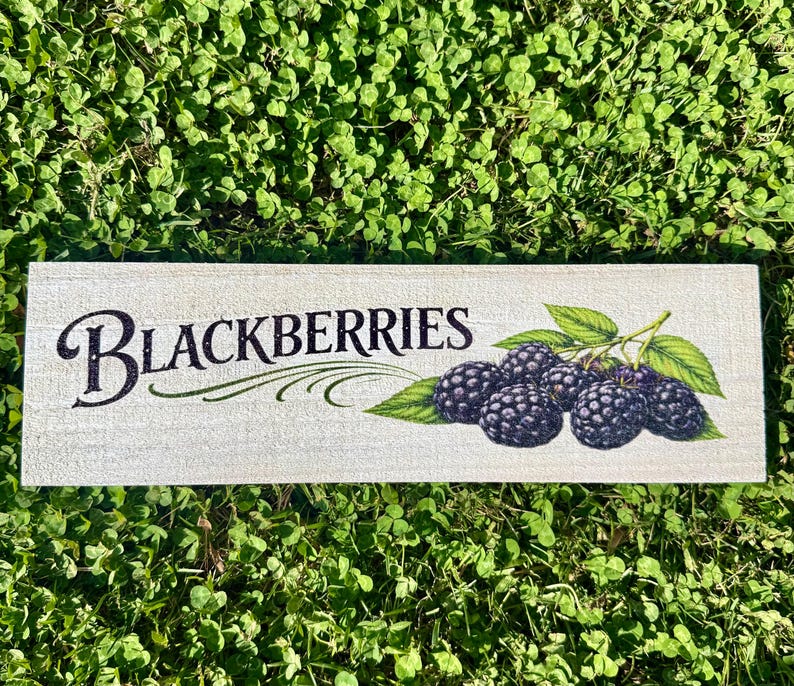 Farmhouse Berry Garden Signs | Raspberry, Strawberry, Blueberry ...