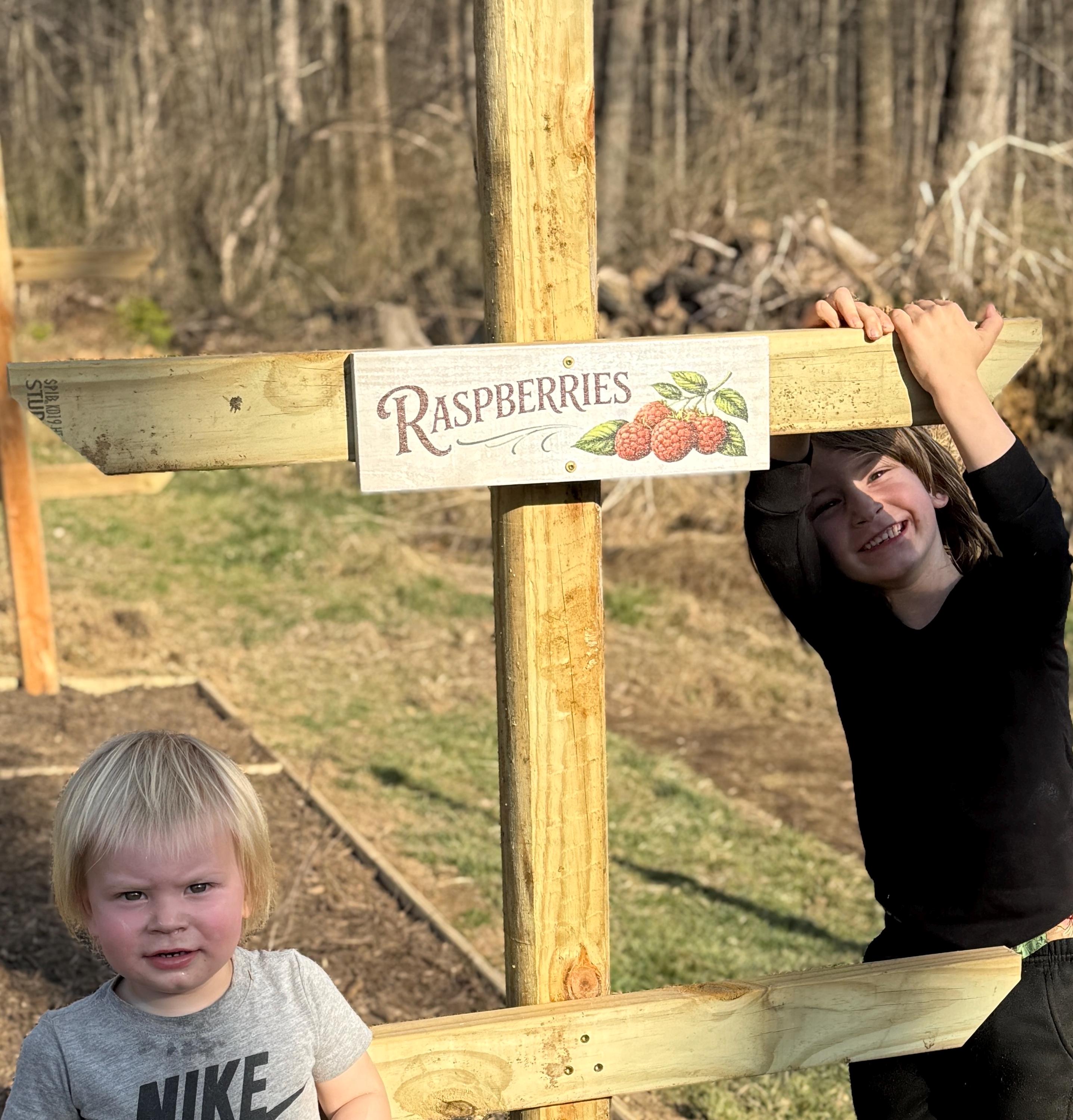 Farmhouse Berry Garden Signs | Raspberry, Strawberry, Blueberry ...