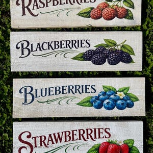 May include: Four rectangular wooden signs with the names of berries: Raspberries, Blackberries, Blueberries, and Strawberries. Each sign features a watercolor illustration of the corresponding fruit and green leaves. The signs are on a grassy surface.