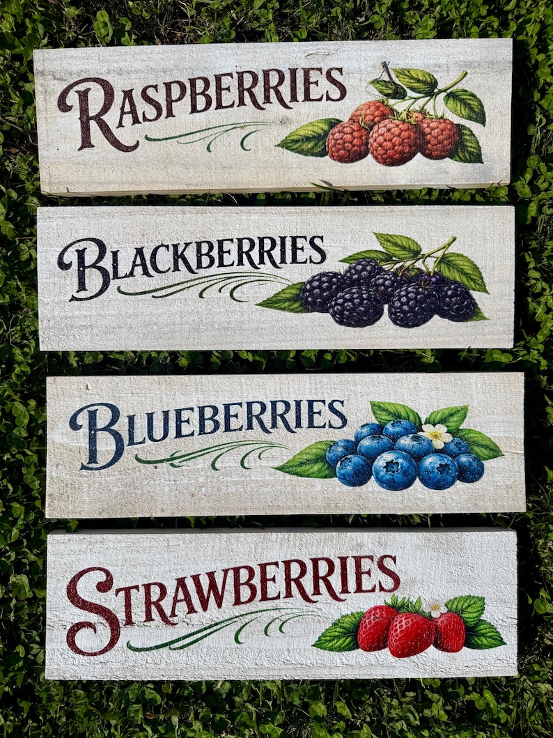 Farmhouse Berry Garden Signs | Raspberry, Strawberry, Blueberry ...