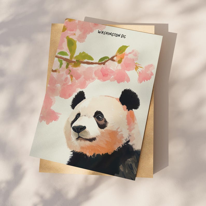 Charming Washington DC postcard featuring a whimsical watercolor and ink illustration of a giant panda lounging under blooming cherry blossom trees. A delightful National Mall souvenir, perfect for panda lovers, cherry blossom fans, and DC visitors.