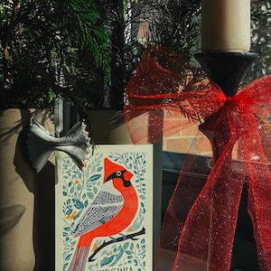 Virginia postcard featuring a state symbol — red cardinal bird. A perfect 4x6" Virginia souvenir for nature lovers, posrcrossers, snail mail lovers, bird watchers, and wildlife enthusiasts. Printed on premium matte cardstock, capturing the serene beauty of Virginia’s waterways. Wonderful watercolor postcard for mailing.