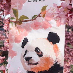 Charming Washington DC postcard featuring a whimsical watercolor and ink illustration of a giant panda lounging under blooming cherry blossom trees. A delightful National Mall souvenir, perfect for panda lovers, cherry blossom fans, and DC visitors.