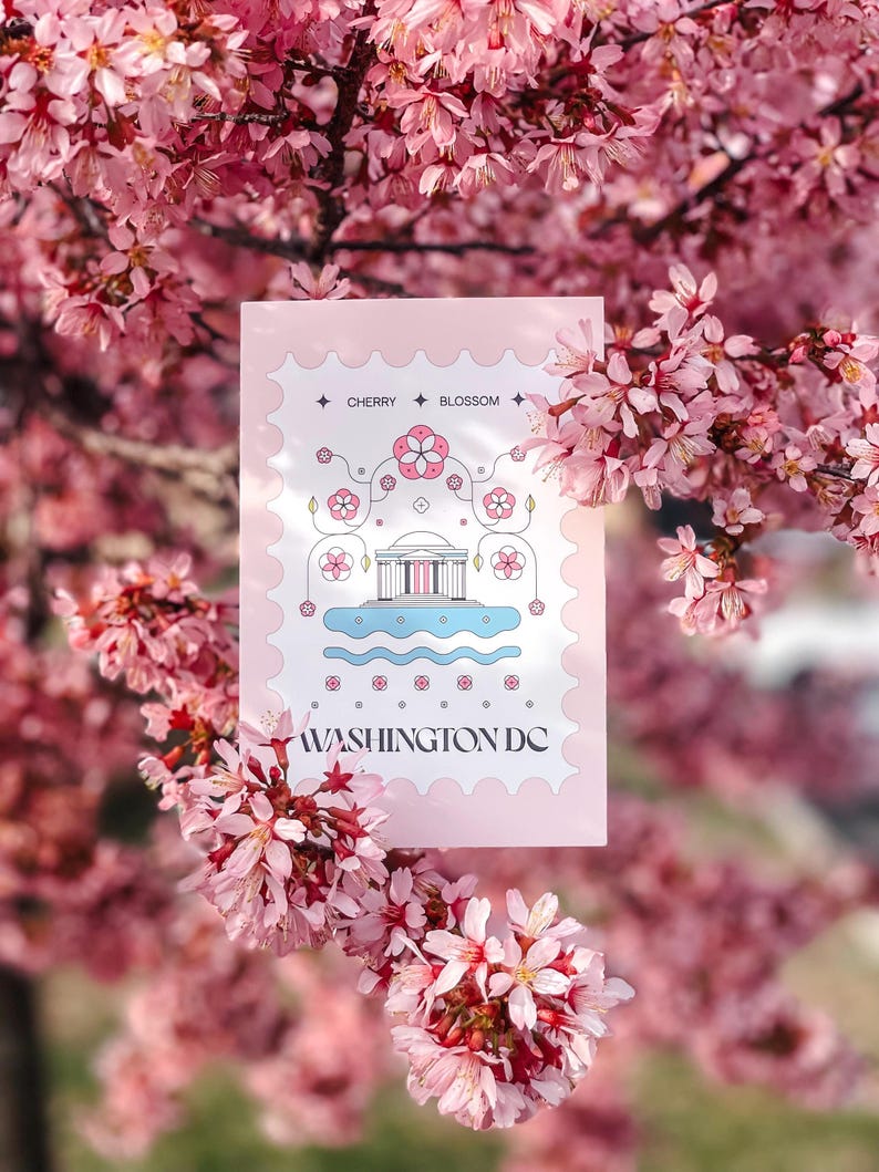 Washington DC cherry blossom postcard featuring a postage stamp design with the Jefferson Memorial and Tidal Basin in peak bloom. A perfect Washington DC souvenir, travel keepsake, and unique postcard for cherry blossom lovers, Washington DC tourists, and postcrossers.