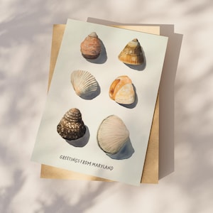 Greetings from Maryland Postcard, Seashell Stories, Coastal Watercolor Art, 4x6 Greeting Card from the Old Line State, Ocean Lover Gift