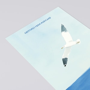 Greetings from Maryland Postcard, Seagull with a View, Coastal Charm Art, 4x6 Travel Gift & Souvenir