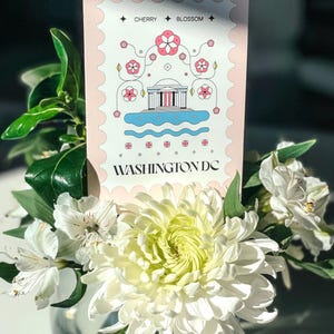 Washington DC cherry blossom postcard featuring a postage stamp design with the Jefferson Memorial and Tidal Basin in peak bloom. A perfect Washington DC souvenir, travel keepsake, and unique 4x6 postcard for cherry blossom lovers and postcrossers.