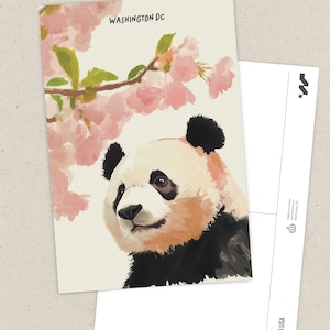 Charming Washington DC postcard featuring a whimsical watercolor and ink illustration of a giant panda lounging under blooming cherry blossom trees. A delightful National Mall souvenir, perfect for panda lovers, cherry blossom fans, and DC visitors.