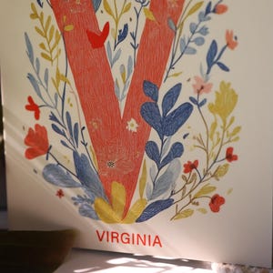 Virginia postcard featuring the letter "V" decorated with delicate floral patterns and charming birds. A 4x6" nature-inspired Virginia souvenir, printed on premium matte cardstock, celebrating the state's natural beauty and wildlife.