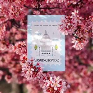 Modern minimalist Washington DC postcard featuring a postage stamp-inspired illustration of the US Capitol on a sky-blue background. A stylish and unique Washington DC travel souvenir, political art print, or collector’s item. High-quality 4x6 postcard, perfect for sending or displaying