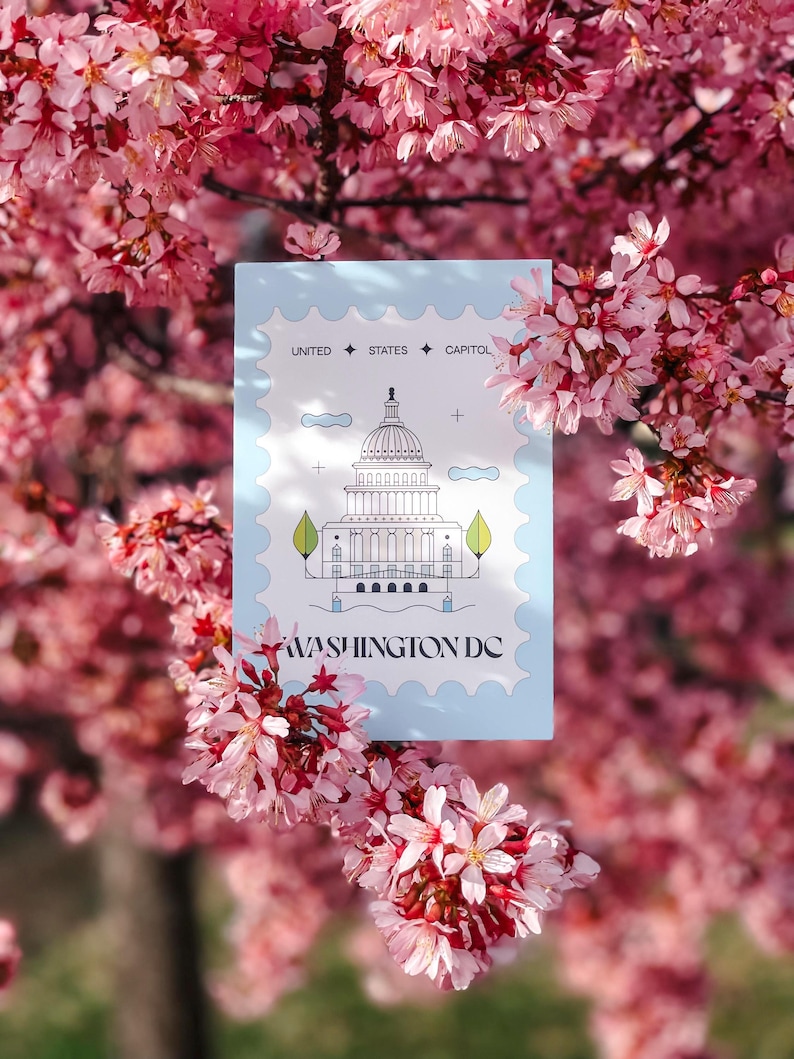Modern minimalist Washington DC postcard featuring a postage stamp-inspired illustration of the US Capitol on a sky-blue background. A stylish and unique Washington DC travel souvenir, political art print, or collector’s item. High-quality 4x6 postcard, perfect for sending or displaying