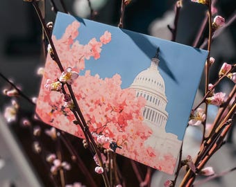 Cartão postal de flor de cerejeira de Washington DC, Capitólio em plena floração, Sakura em flor, lembrança de viagem de DC, cartão postal floral 4x6, presente exclusivo de DC