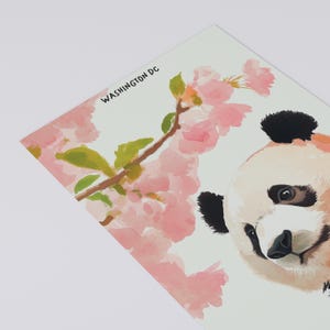Charming Washington DC postcard featuring a whimsical watercolor and ink illustration of a giant panda lounging under blooming cherry blossom trees. A delightful National Mall souvenir, perfect for panda lovers, cherry blossom fans, and DC visitors.