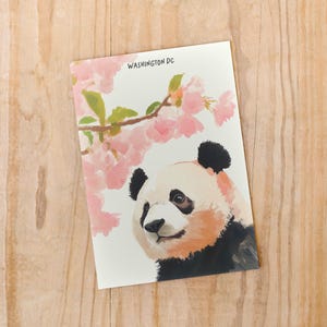 Charming Washington DC postcard featuring a whimsical watercolor and ink illustration of a giant panda lounging under blooming cherry blossom trees. A delightful National Mall souvenir, perfect for panda lovers, cherry blossom fans, and DC visitors.