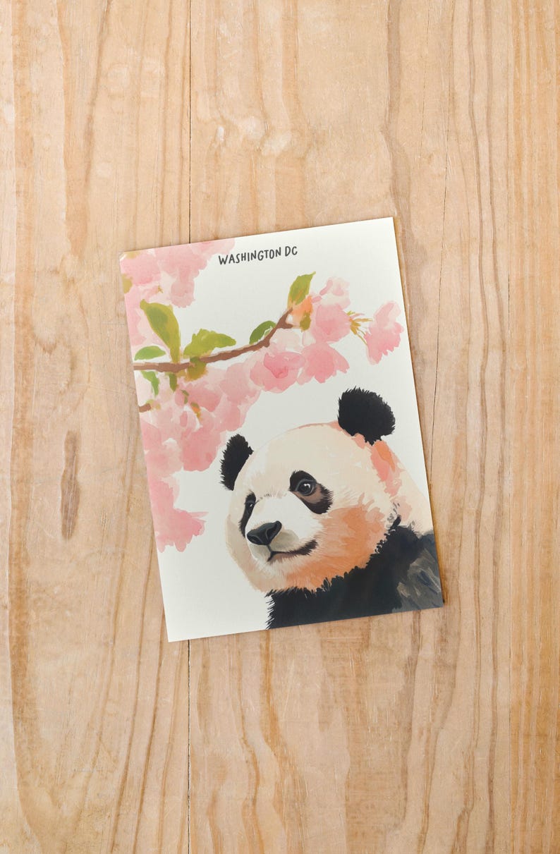 Charming Washington DC postcard featuring a whimsical watercolor and ink illustration of a giant panda lounging under blooming cherry blossom trees. A delightful National Mall souvenir, perfect for panda lovers, cherry blossom fans, and DC visitors.