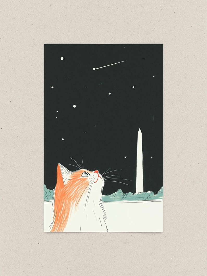 Hand-drawn Washington DC postcard featuring a cozy cat under the Washington Monument at night with a comet in the sky. Perfect DC souvenir, gift, or collectible for cat lovers, stargazers, and fans of unique illustration art
