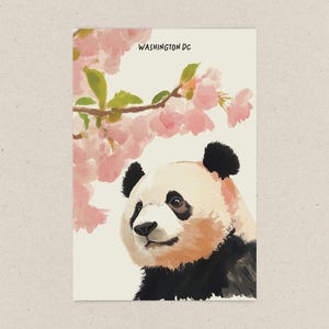 Charming Washington DC postcard featuring a whimsical watercolor and ink illustration of a giant panda lounging under blooming cherry blossom trees. A delightful National Mall souvenir, perfect for panda lovers, cherry blossom fans, and DC visitors.