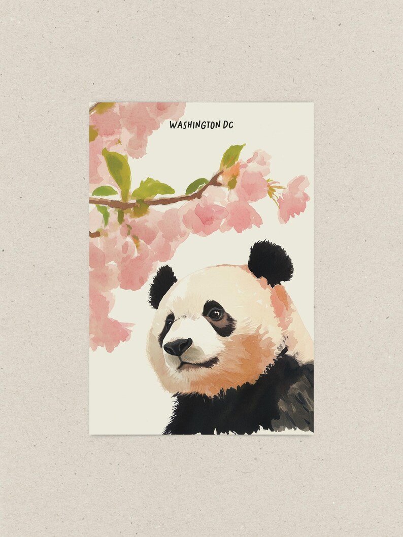 Charming Washington DC postcard featuring a whimsical watercolor and ink illustration of a giant panda lounging under blooming cherry blossom trees. A delightful National Mall souvenir, perfect for panda lovers, cherry blossom fans, and DC visitors.